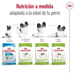 Royal Canin X-Small Ageing 12+ Adult ração para cães sénior