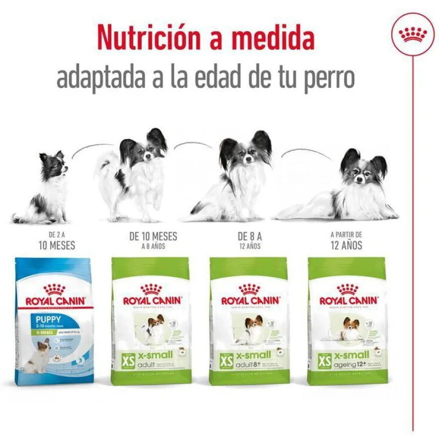 Royal Canin X-Small Ageing 12+ Adult ração para cães sénior
