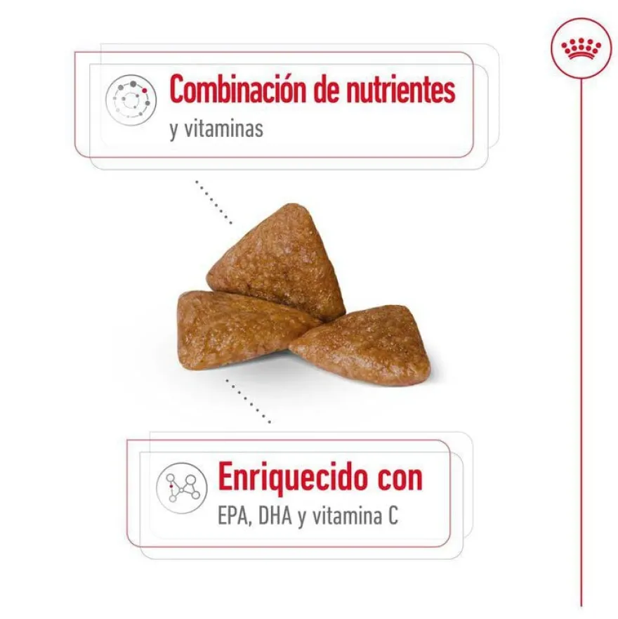 Royal Canin X-Small Ageing 12+ Adult ração para cães sénior