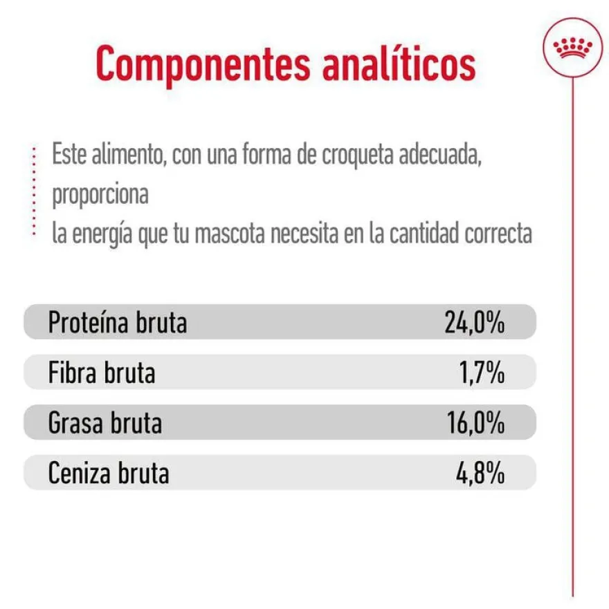 Royal Canin X-Small Ageing 12+ Adult ração para cães sénior