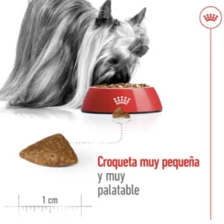 Royal Canin X-Small Ageing 12+ Adult ração para cães sénior