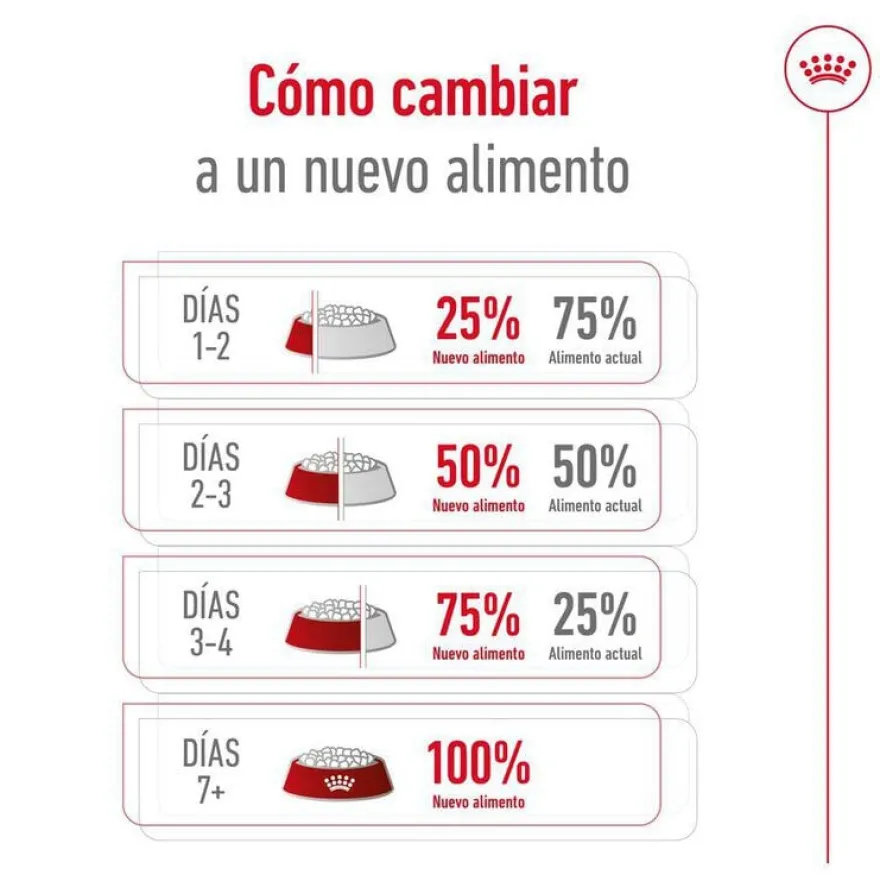 Royal Canin X-Small Ageing 12+ Adult ração para cães sénior