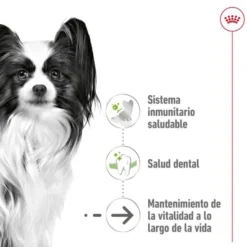 Royal Canin X-Small Ageing 12+ Adult ração para cães sénior