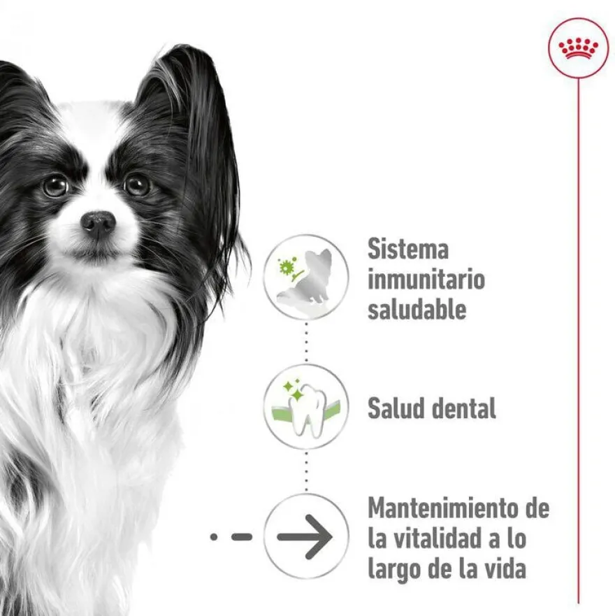 Royal Canin X-Small Ageing 12+ Adult ração para cães sénior