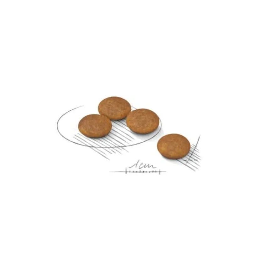 Royal Canin X-Small Light Weight Care ração para cães