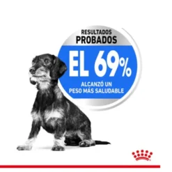 Royal Canin X-Small Light Weight Care ração para cães
