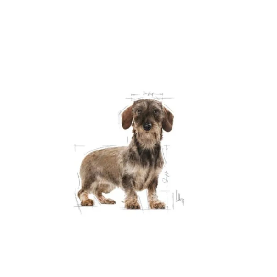 Royal Canin X-Small Light Weight Care ração para cães