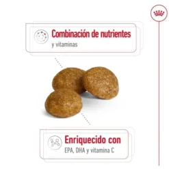 Royal Canin X-Small 8+ Mature ração para cães
