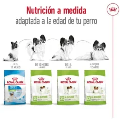 Royal Canin X-Small 8+ Mature ração para cães