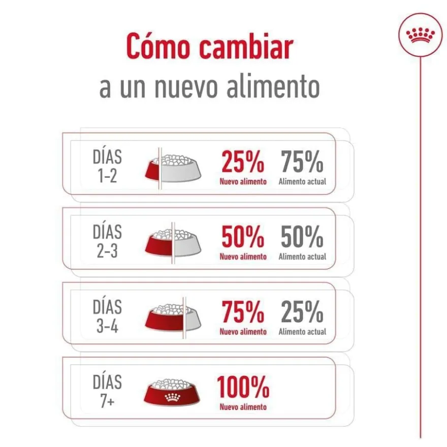 Royal Canin X-Small 8+ Mature ração para cães
