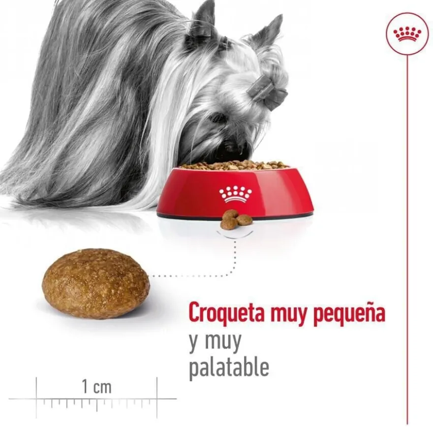 Royal Canin X-Small 8+ Mature ração para cães