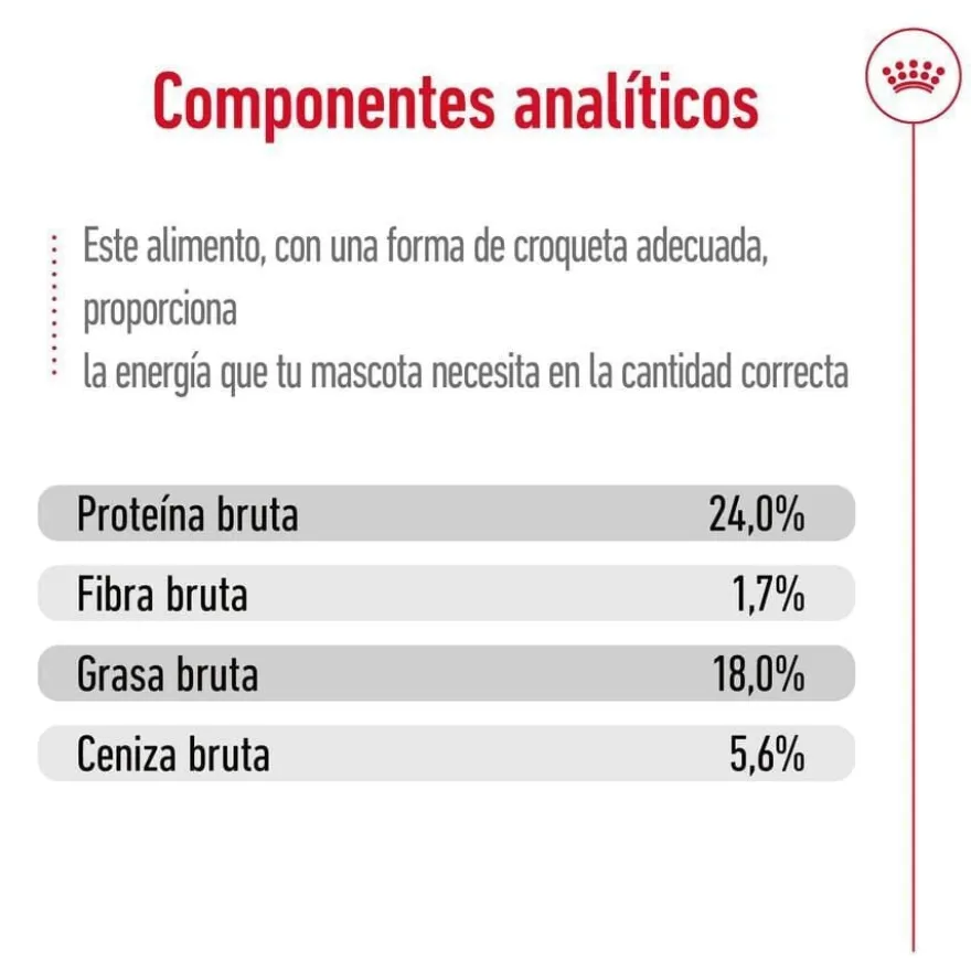 Royal Canin X-Small 8+ Mature ração para cães