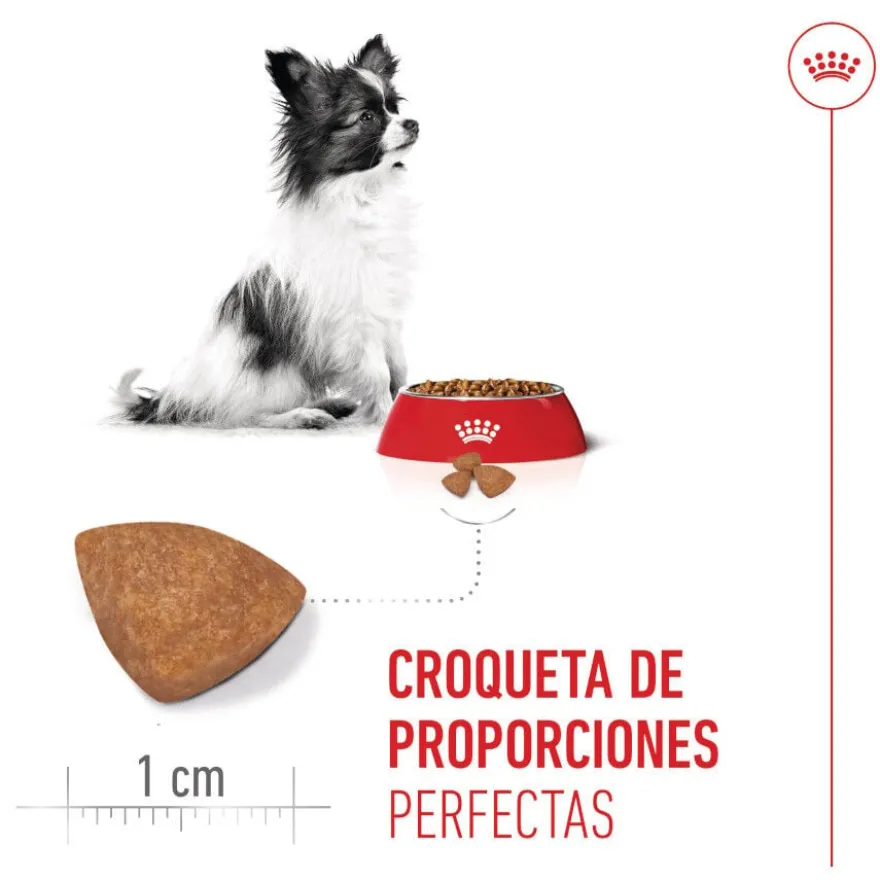 Royal Canin X-Small Puppy ração para cães