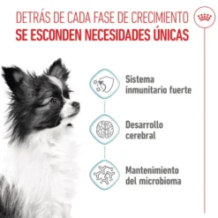Royal Canin X-Small Puppy ração para cães