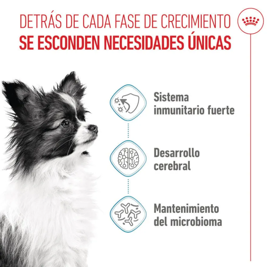 Royal Canin X-Small Puppy ração para cães