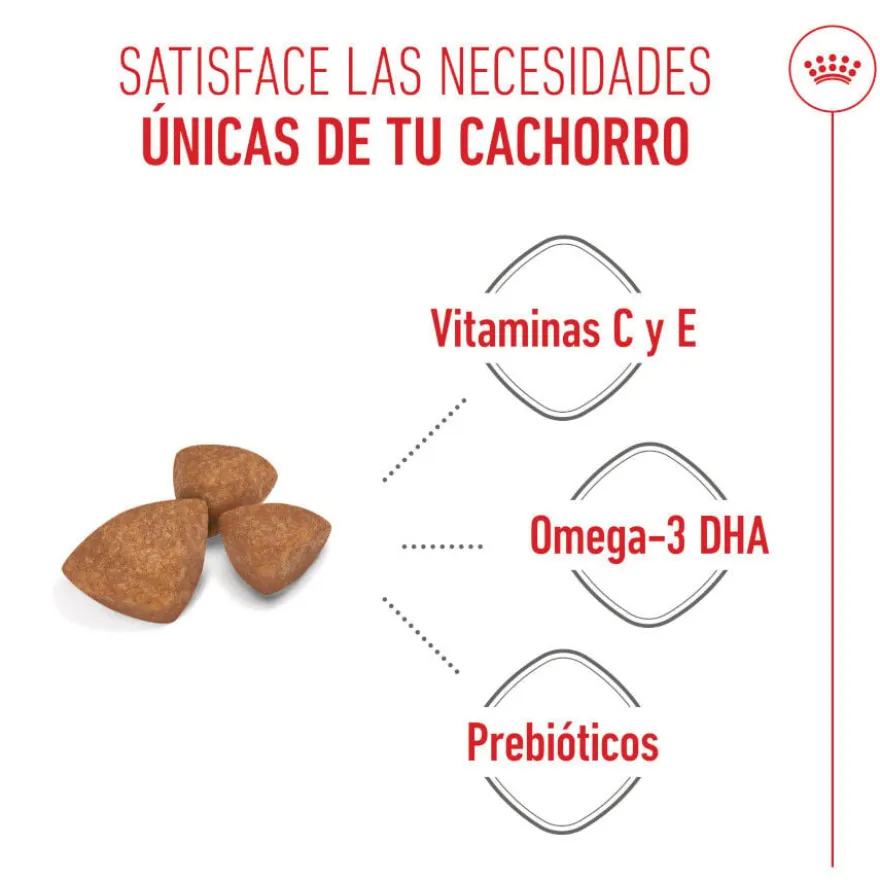 Royal Canin X-Small Puppy ração para cães