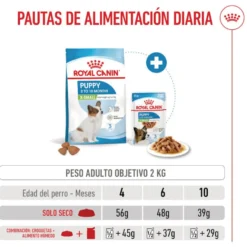Royal Canin X-Small Puppy ração para cães
