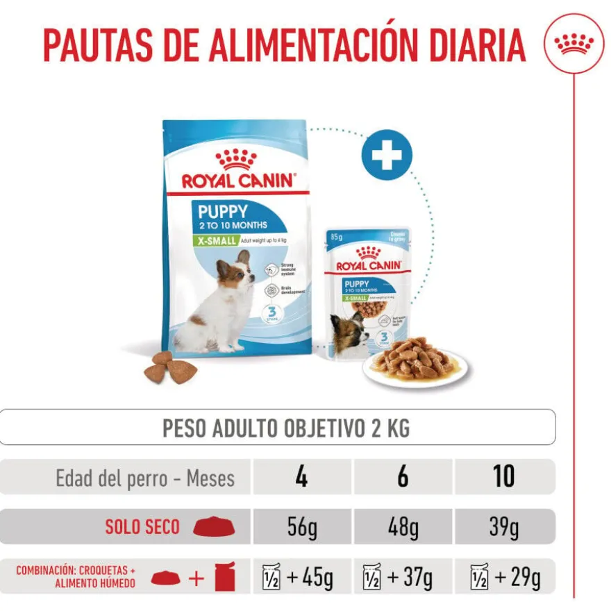Royal Canin X-Small Puppy ração para cães