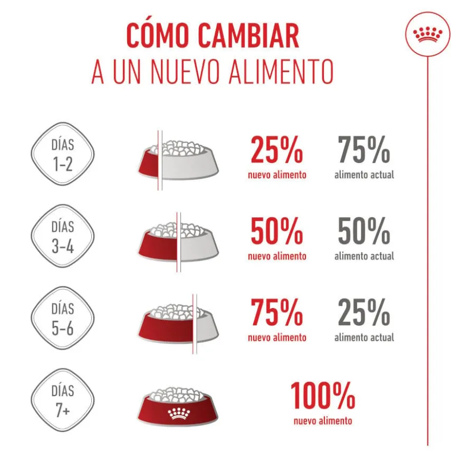 Royal Canin X-Small Puppy ração para cães