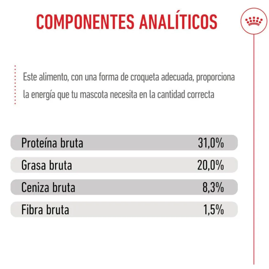 Royal Canin X-Small Puppy ração para cães