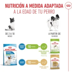 Royal Canin X-Small Puppy ração para cães