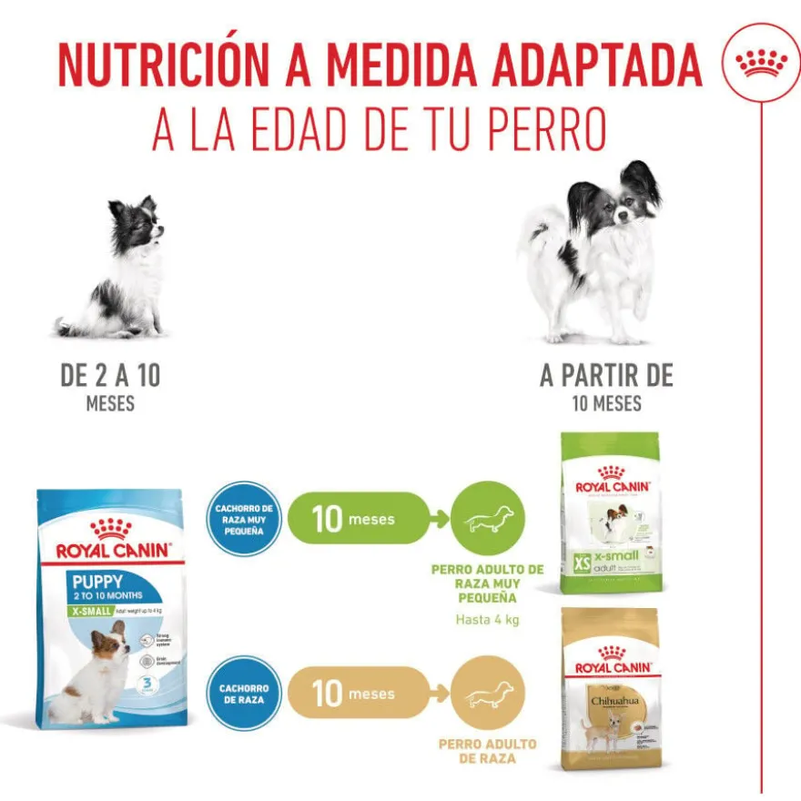 Royal Canin X-Small Puppy ração para cães