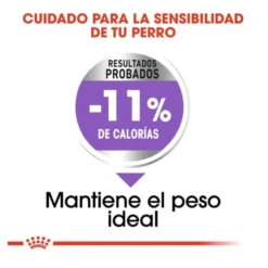 Royal Canin X-Small Sterilised ração para cães