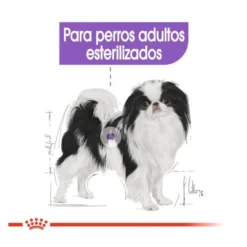 Royal Canin X-Small Sterilised ração para cães