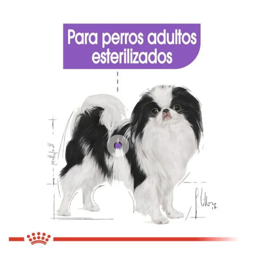 Royal Canin X-Small Sterilised ração para cães