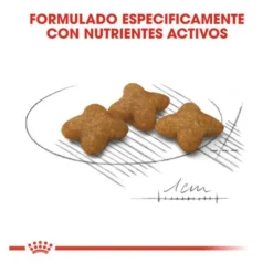 Royal Canin X-Small Sterilised ração para cães