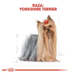 Royal Canin Yorkshire Terrier saquetas para cães