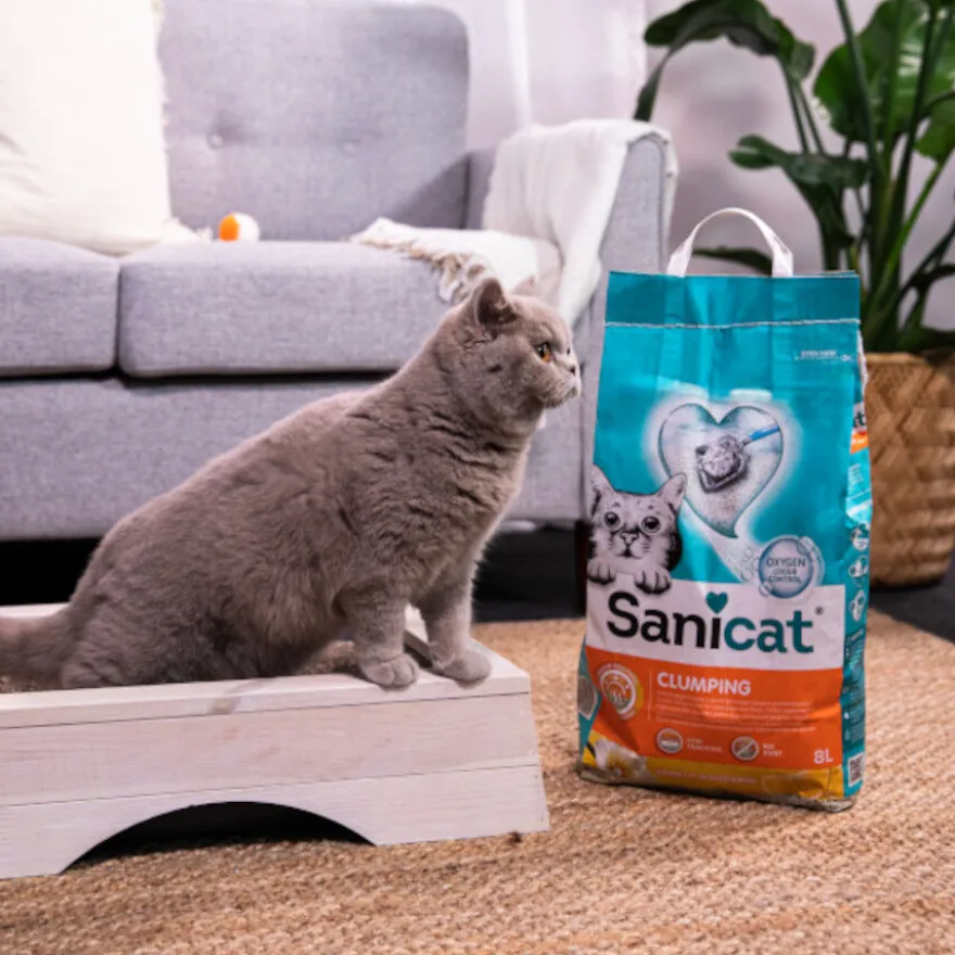 Sanicat Areia Aglomerante Baunilha e Tangerina para gatos