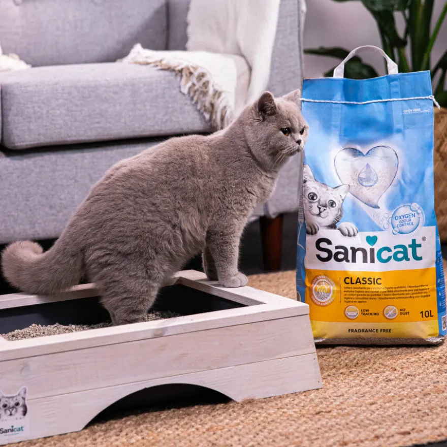 Sanicat Classic Areia Absorvente para gatos