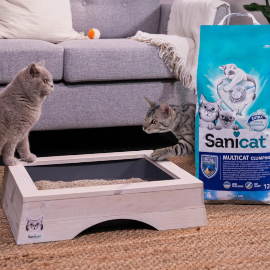 Sanicat Multicat Cumpling Fresh Air Areia para gatos