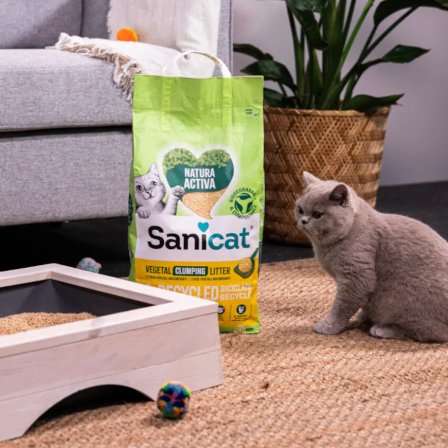 Sanicat Natura Activa Recycled Areia para gatos