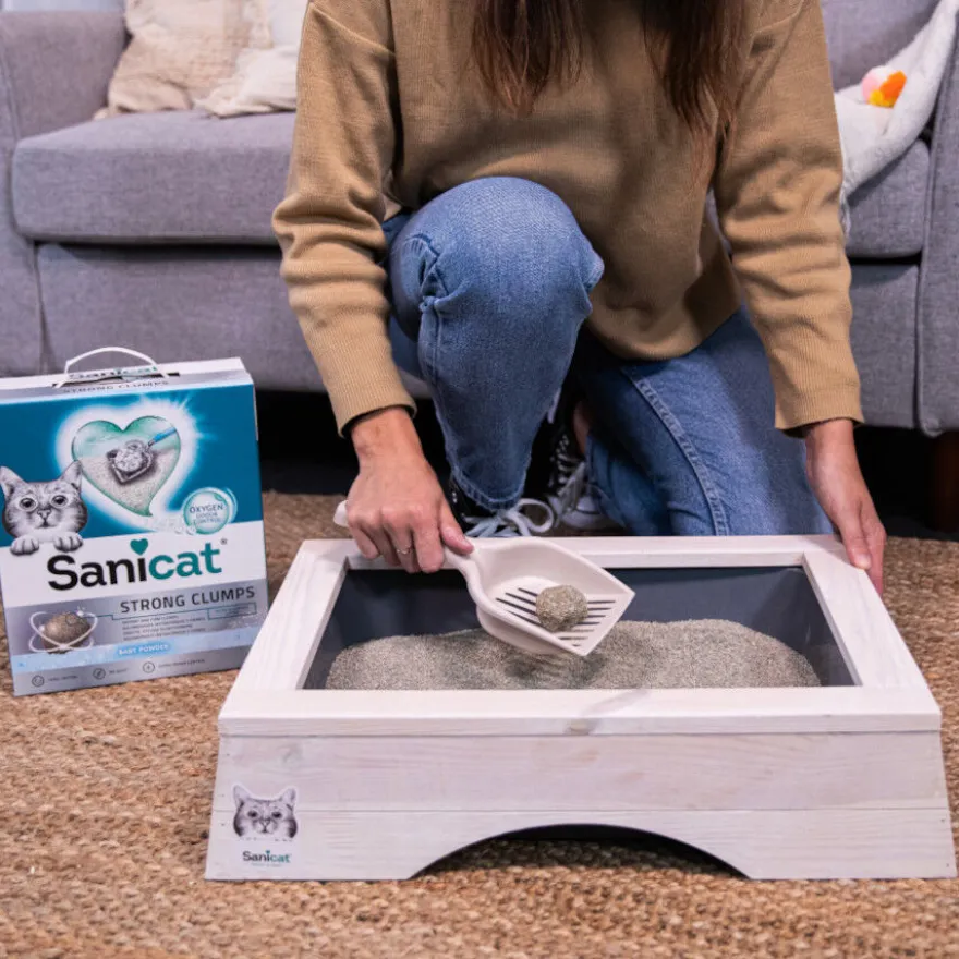 Sanicat Strong Clumps Areia