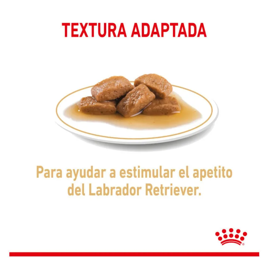 Saquetas Royal Canin Labrador 140g