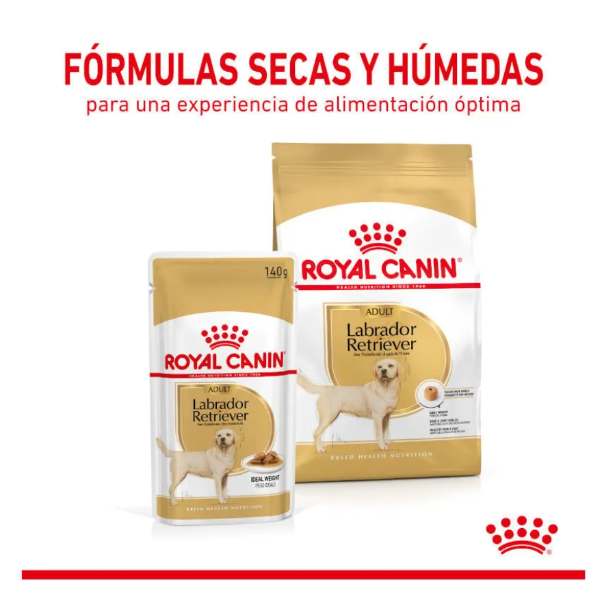 Saquetas Royal Canin Labrador 140g