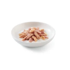 Schesir Adult Atum com Salmão saqueta para gatos.