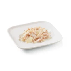 Schesir Adult Frango com Aloé lata para cães