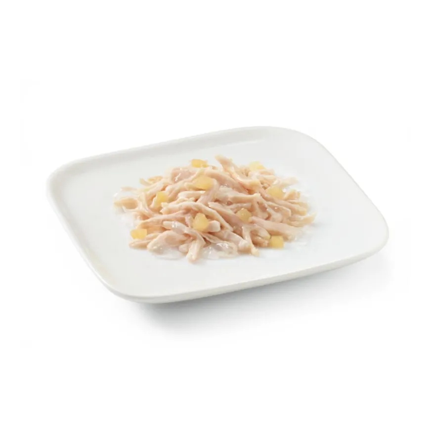 Schesir Adult Frango com Ananás lata para cães