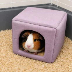 Small Life cama com forma de cubo para roedores