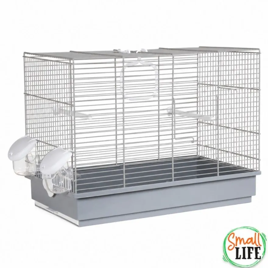 Small Life Kit de Iniciação para pássaros