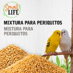 Small Life Mixtura Cubos para periquitos