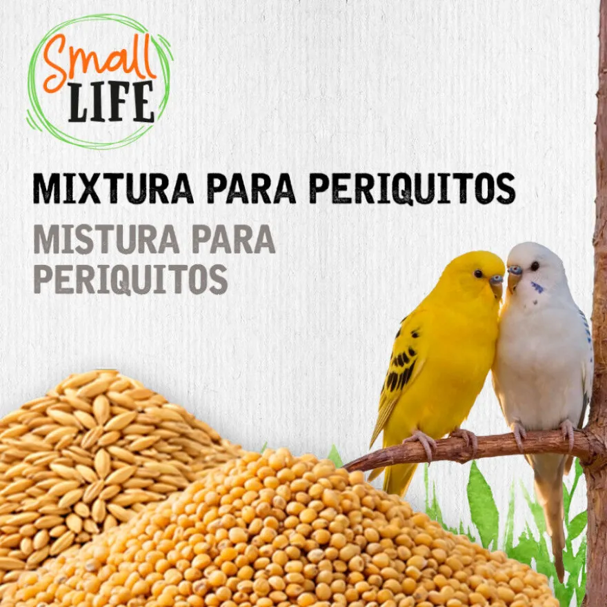 Small Life Mixtura Cubos para periquitos