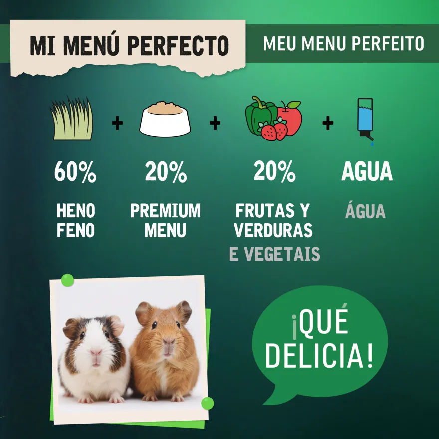 Small Life Premium Menú Comida para Porquinhos-da-Índia
