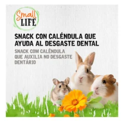 Small Life Rolo de Feno com Calêndula Snack para roedores e coelhos