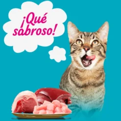 Start Multipack Alimento húmido de carne e peixe em saquetas para gatos Pack Poupança!