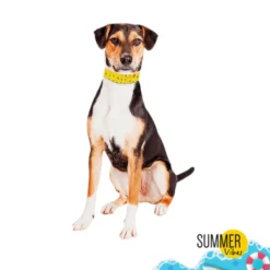 Summer Vibes Bandana refrescante para cães