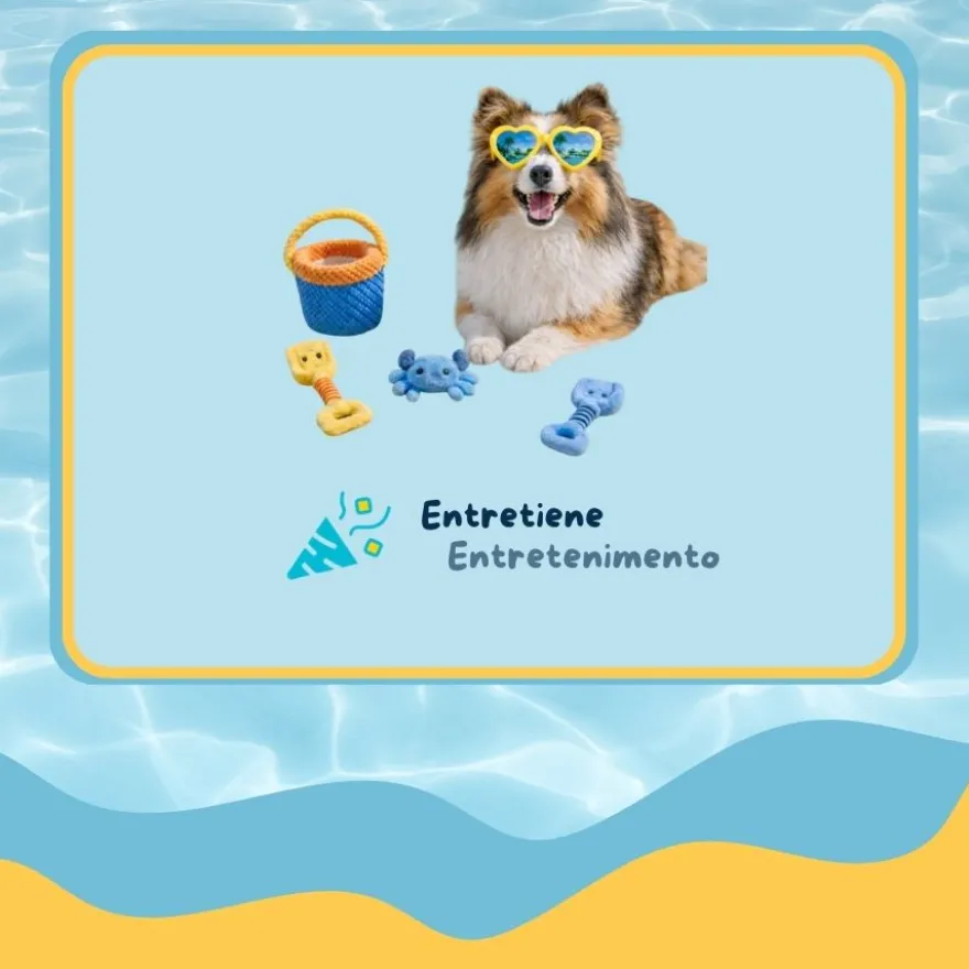 Summer Vibes Beach Set x4 Kit de Brinquedos para cães